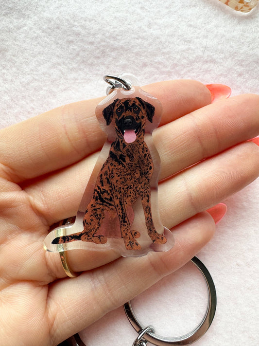 Plott Hound Keychain