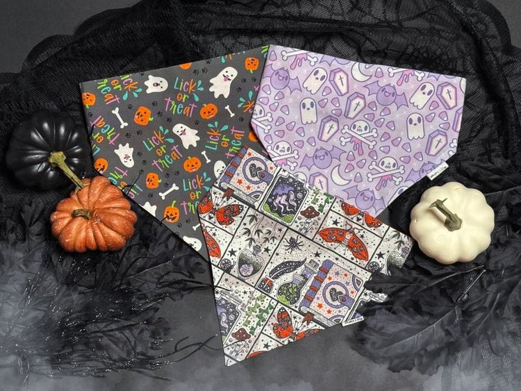Fall and Halloween