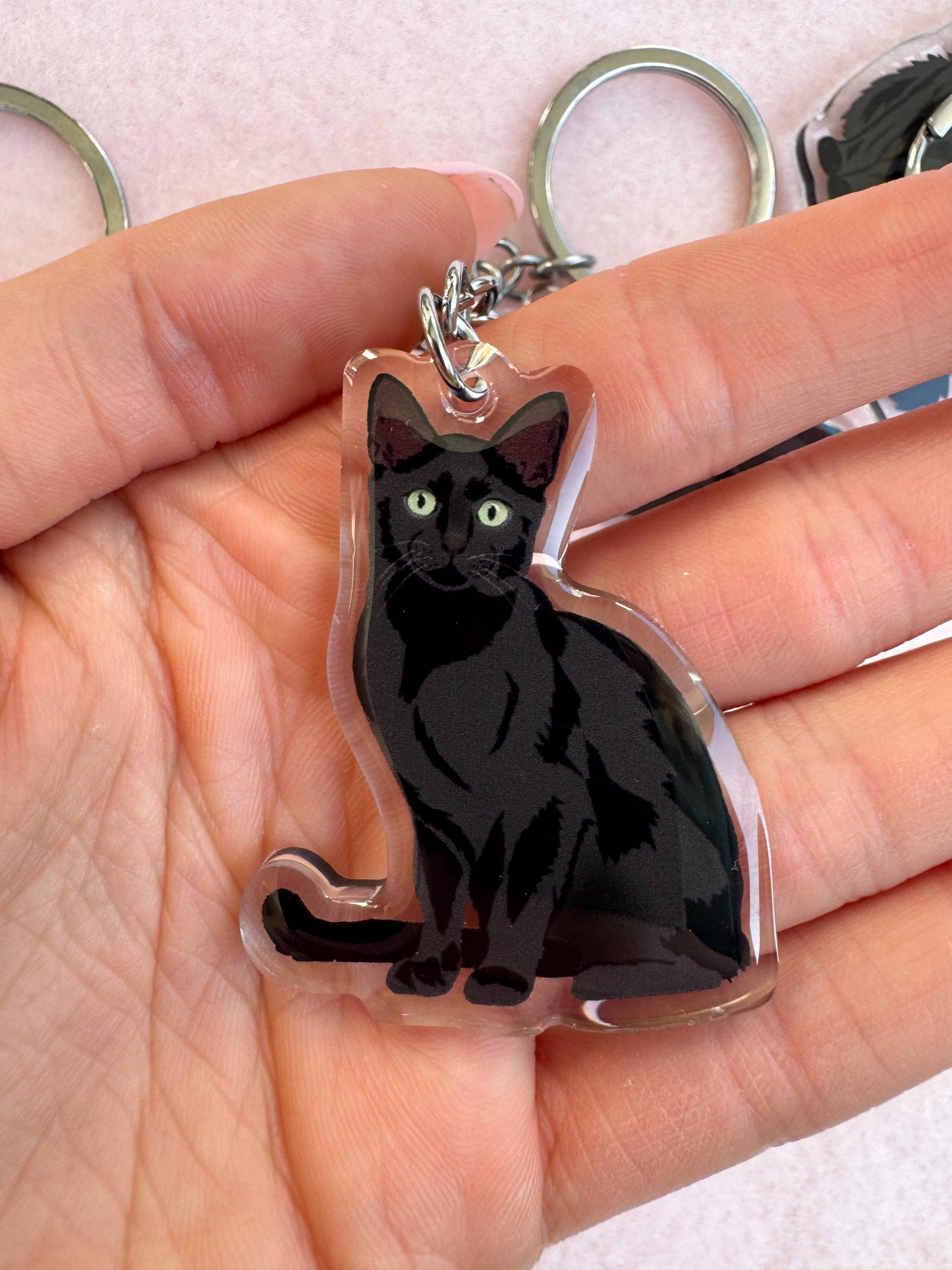 Black Cat, Bombay Keychain