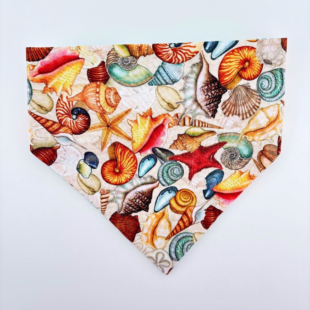 Shells by the Shore Bandana