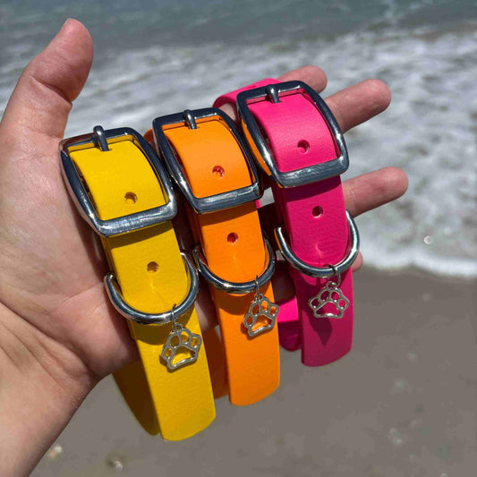 Waterproof Collar