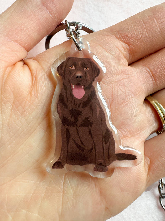 Labrador Retriever (chocolate lab) Keychain