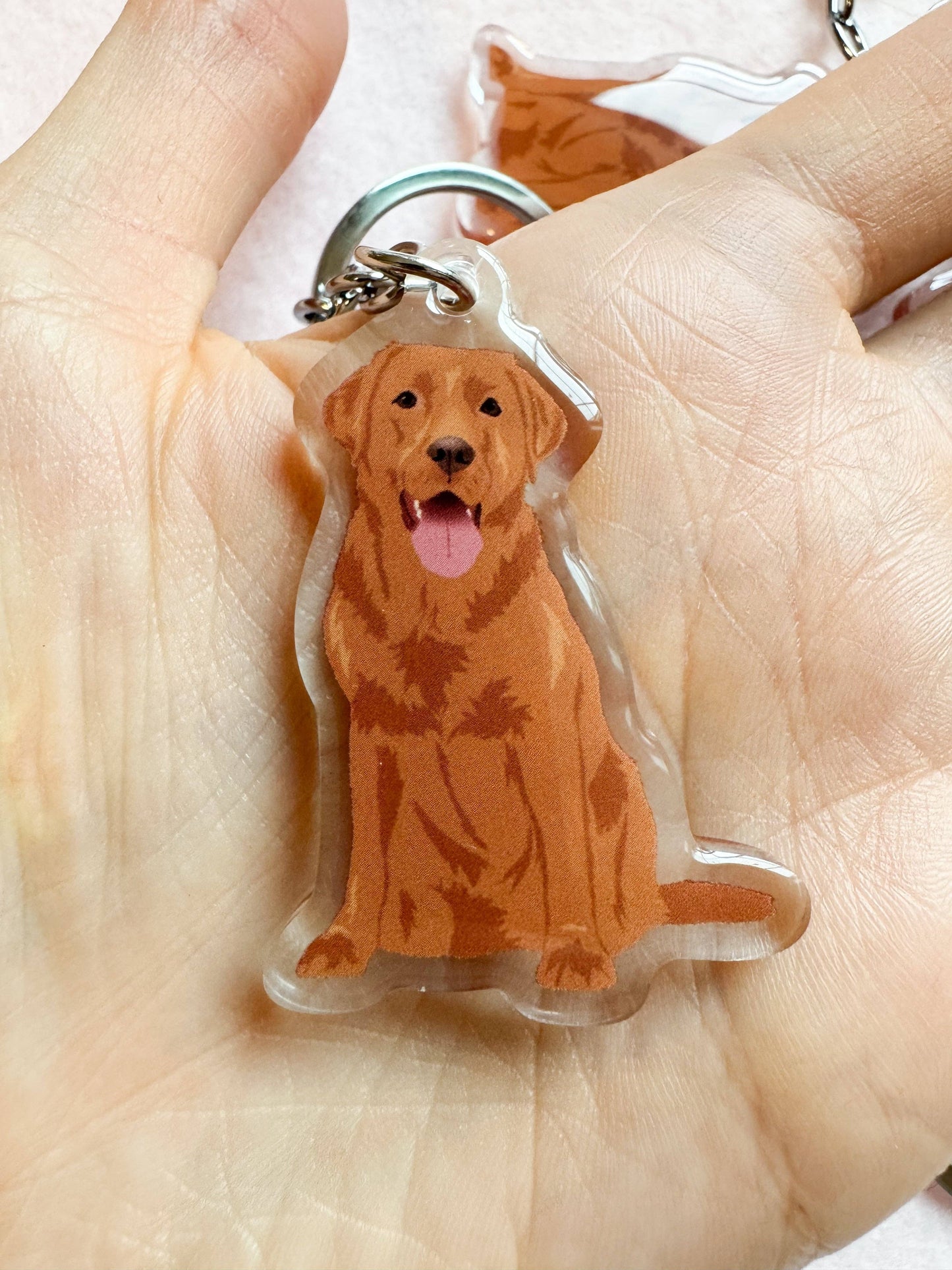 Labrador Retriever (red fox lab) Keychain