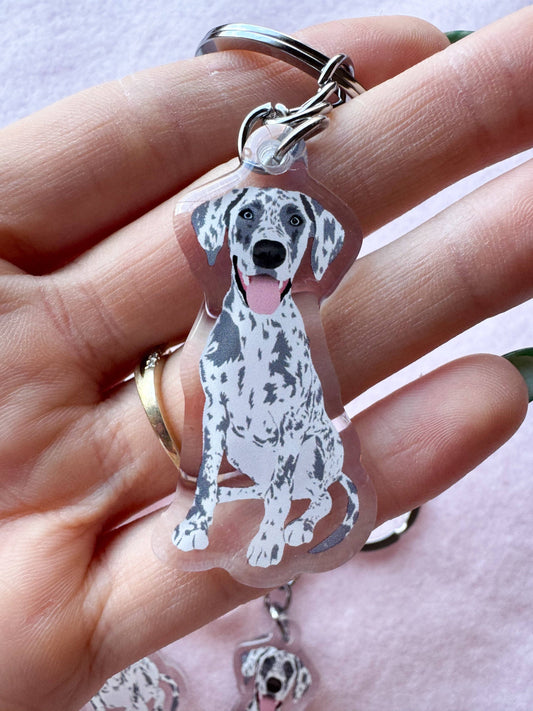 Great Dane (blue merle) Keychain