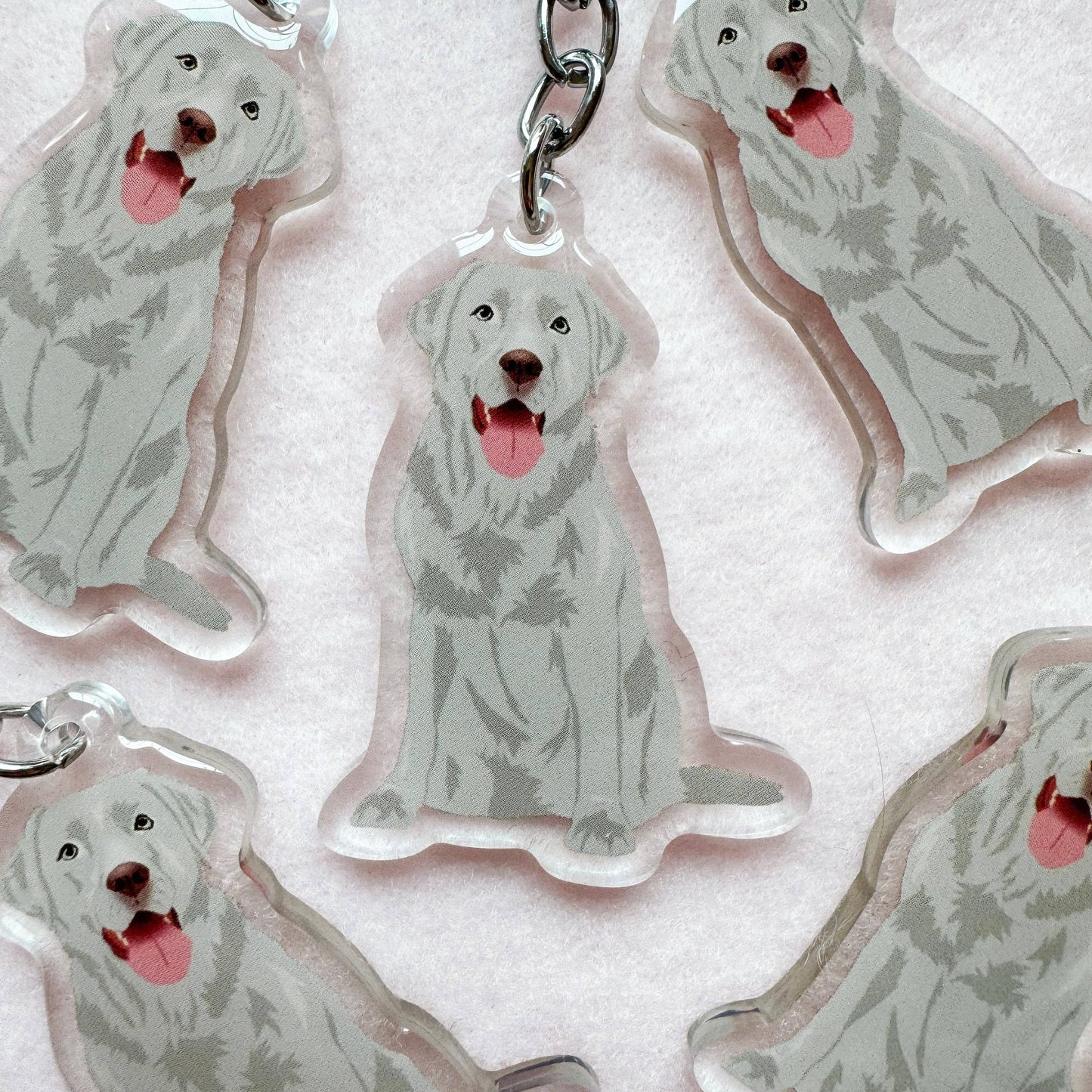 Labrador Retriever (silver lab), Blue Lacy Keychain