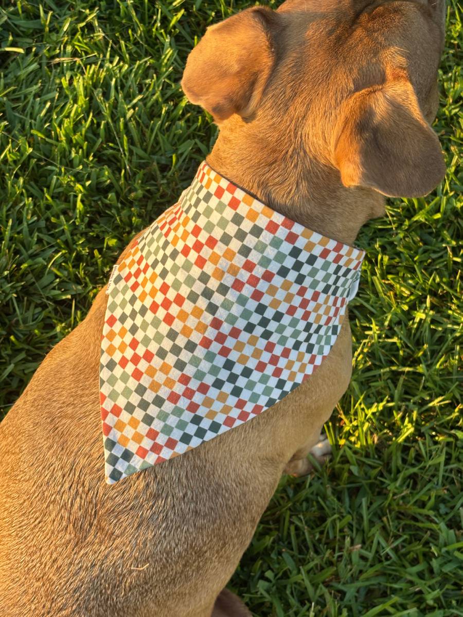 Moth and Magic Bandana