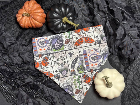Moth and Magic Bandana