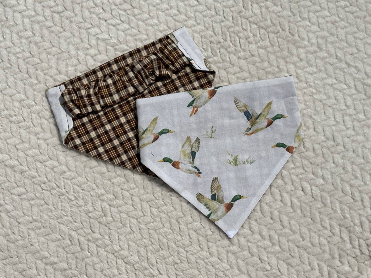 Mallard Duck Bandana