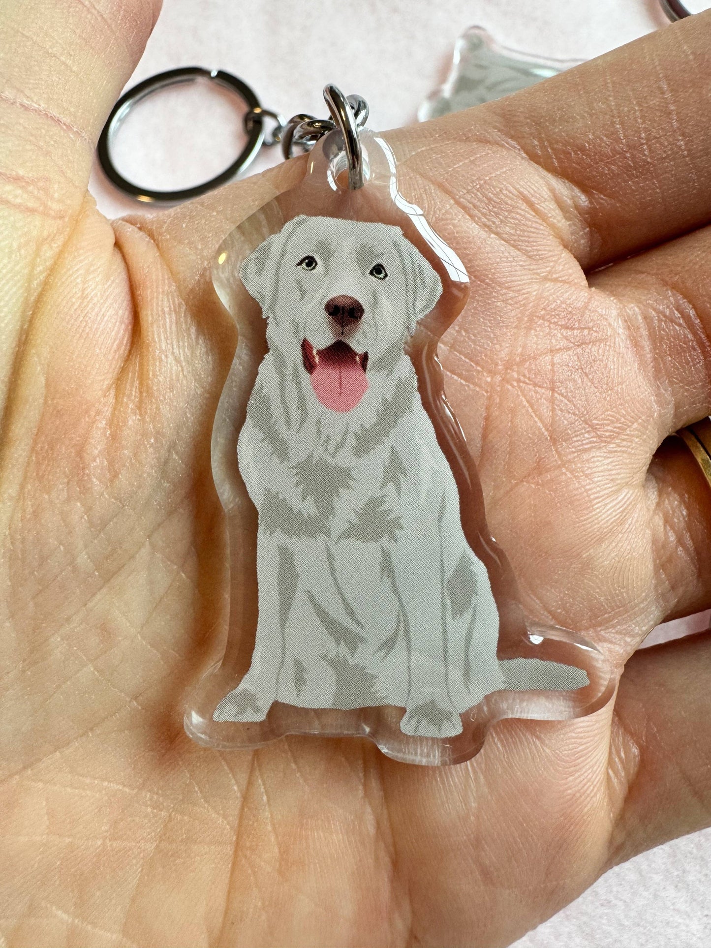 Labrador Retriever (silver lab), Blue Lacy Keychain