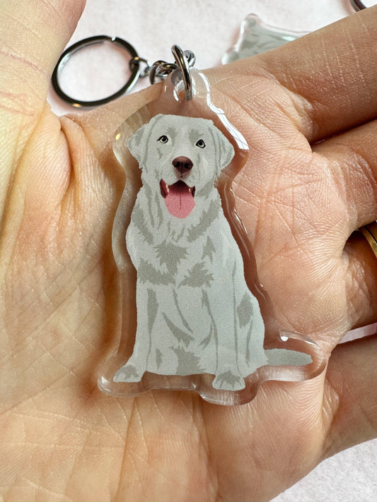 Labrador Retriever (silver lab), Blue Lacy Keychain