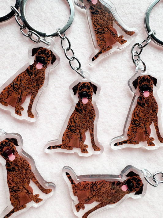 Plott Hound Keychain
